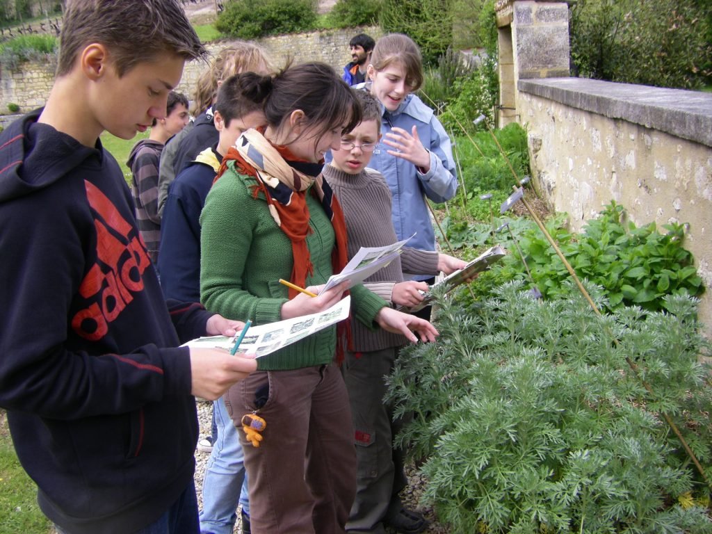 Atelier La magie des plantes